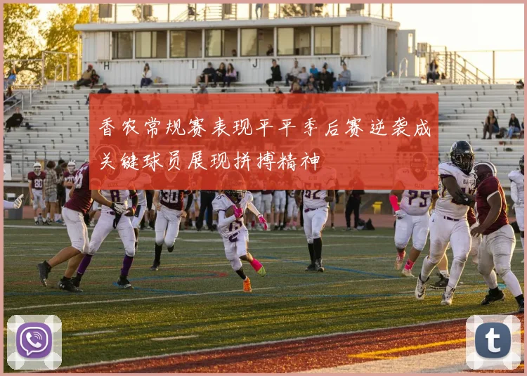 香农常规赛表现平平季后赛逆袭成关键球员展现拼搏精神